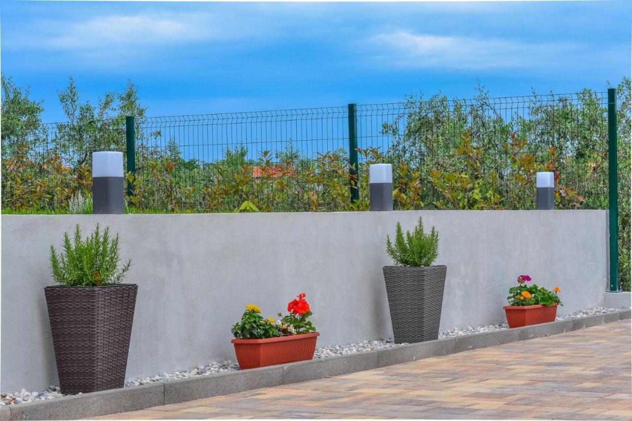 Apartment Kaplja Novigrad Istria Exterior foto